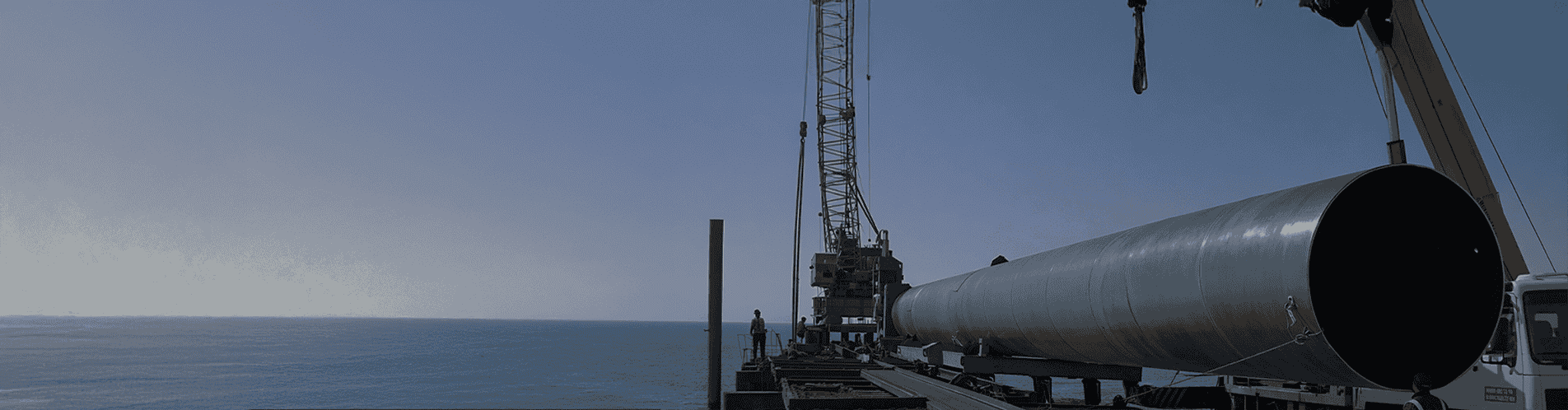 Taman Nefte Gas Limanı